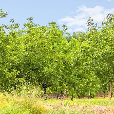 Og Brive La Gaillarde Ouest