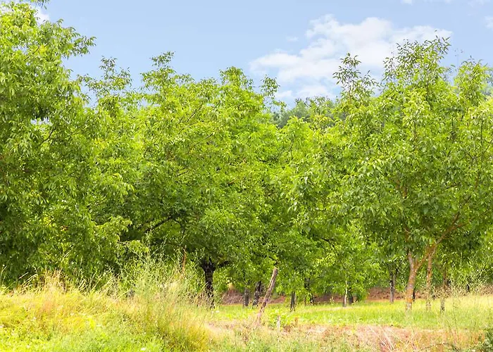 Og Brive La Gaillarde Ouest